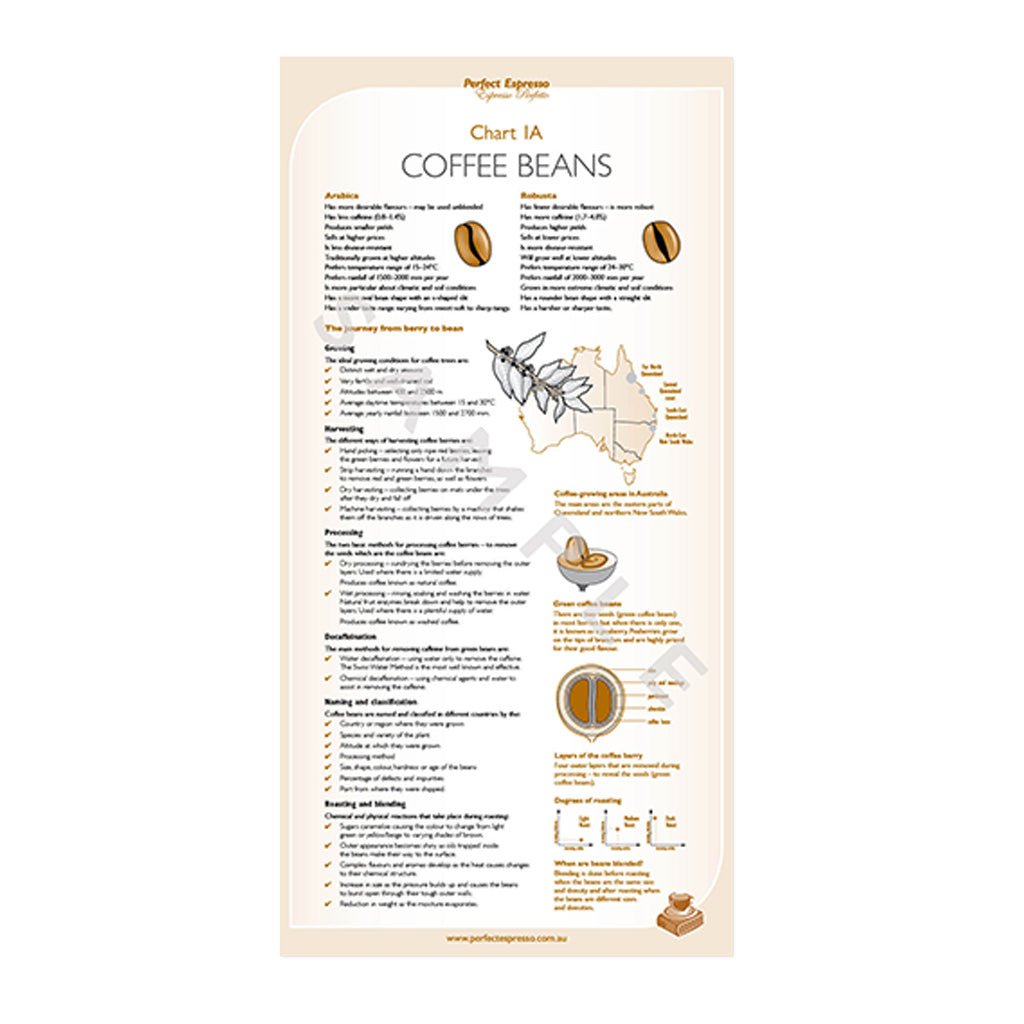 Barista Training Charts - Barista Supplies