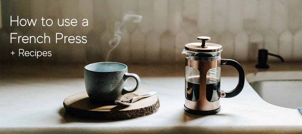 How to Use a French Press + Delicious Recipes - Barista Supplies