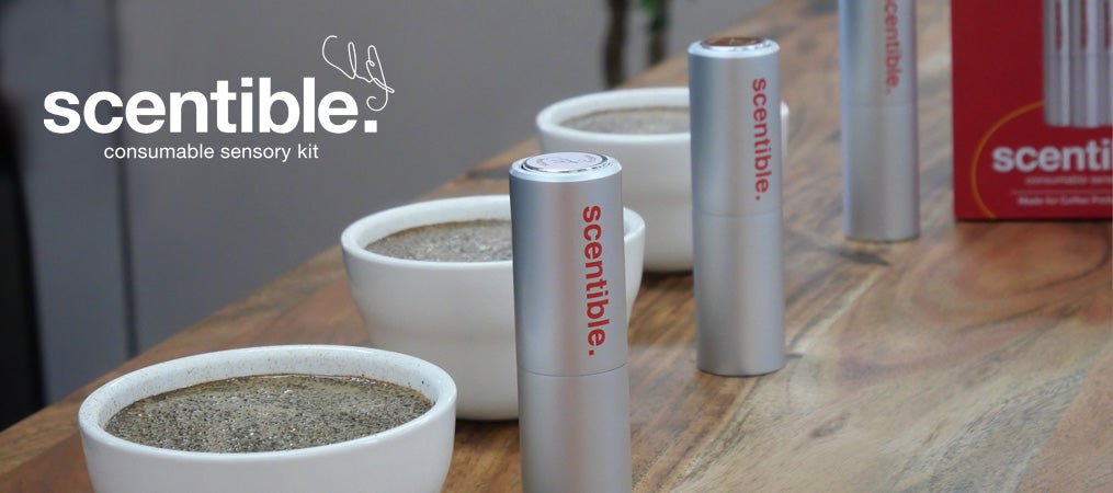 Scentible, Consumable Sensory Kit: Everything You Need to Know - Barista Supplies