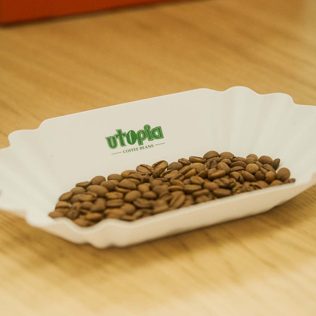 Barista Progear White Coffee Cupping Tray - Barista Supplies