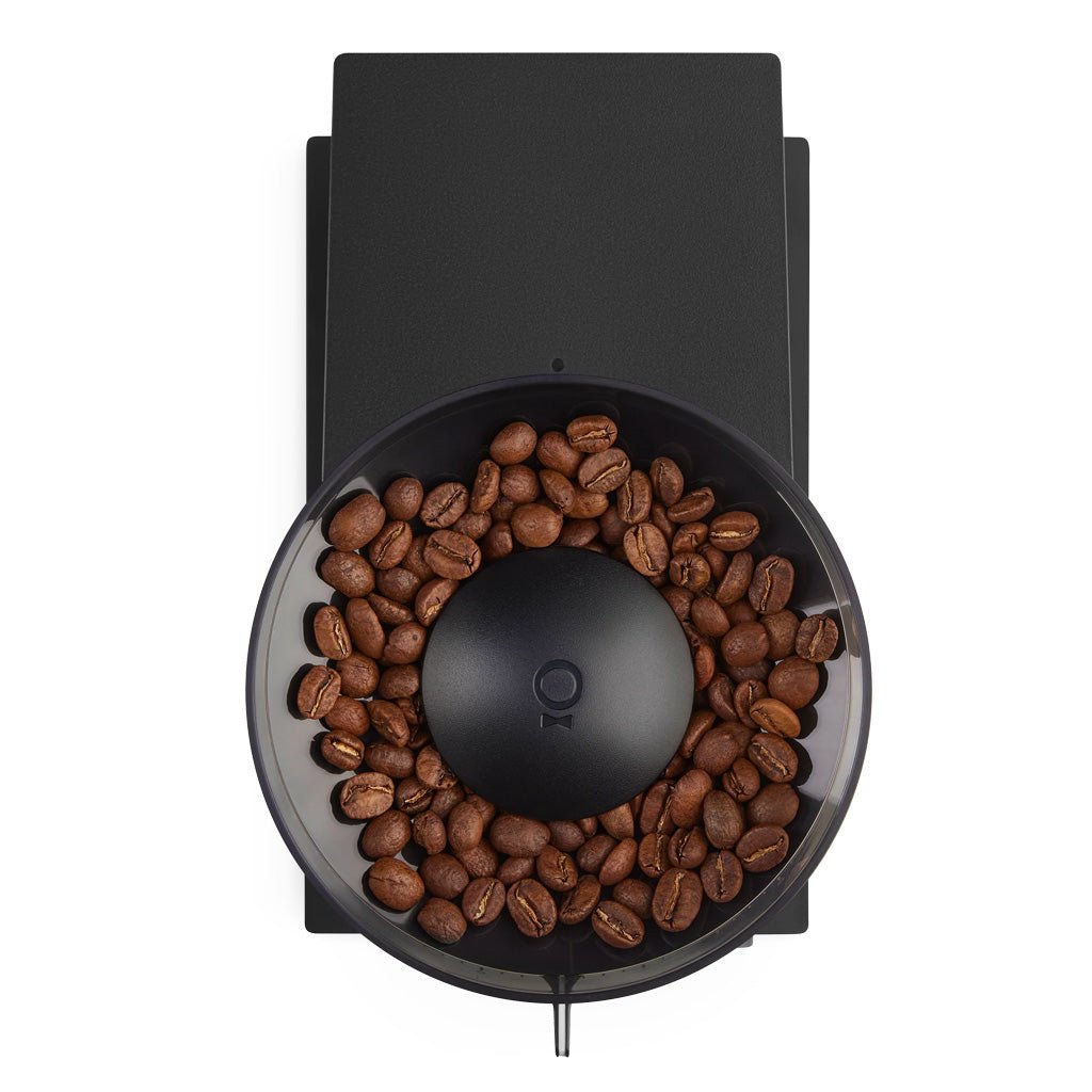 Fellow Opus Coffee Grinder - Barista Supplies