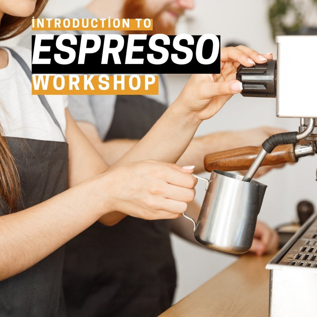 Introduction to Espresso Workshop - Barista Supplies