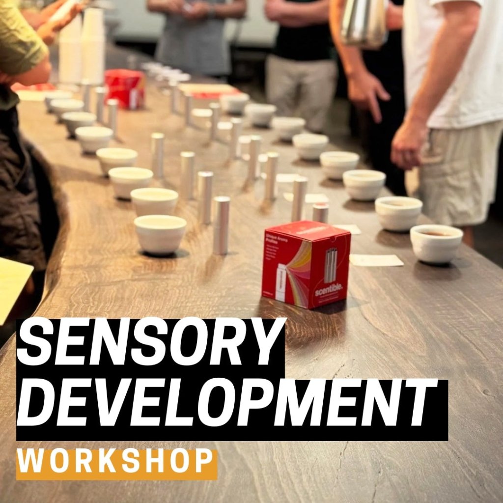 Sensory Development Workshop - Barista Supplies